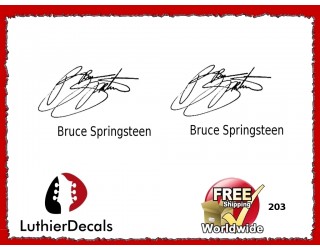 Guitar Players Bruce Springsteen Signature Guitar Decal 203